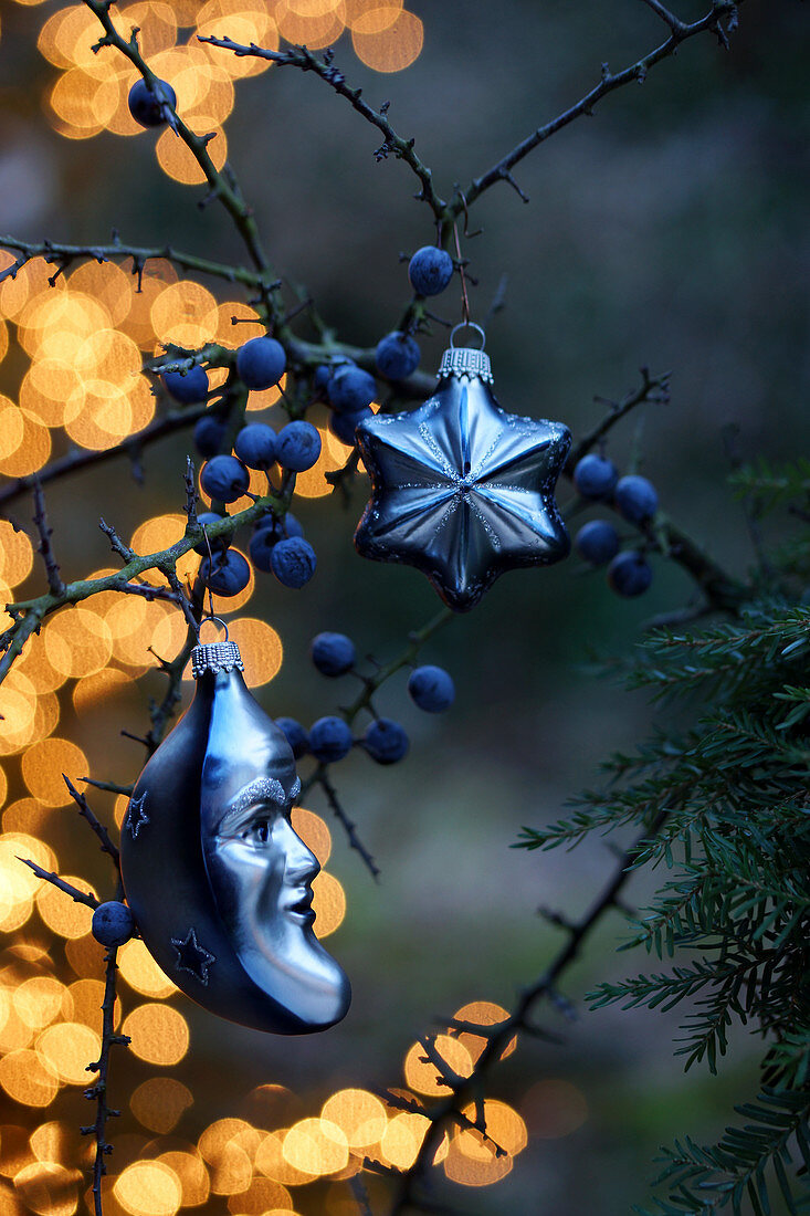 Weihnachtsschmuck am Schlehenzweig