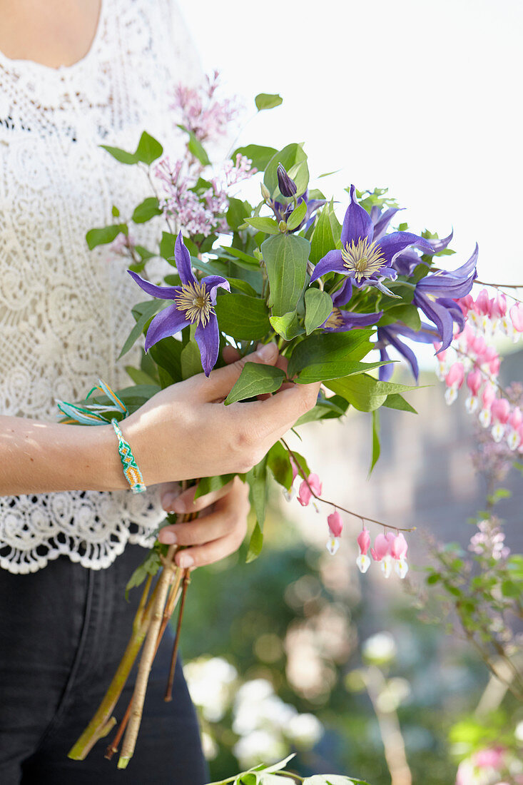 Clematis Amazing® Oslo