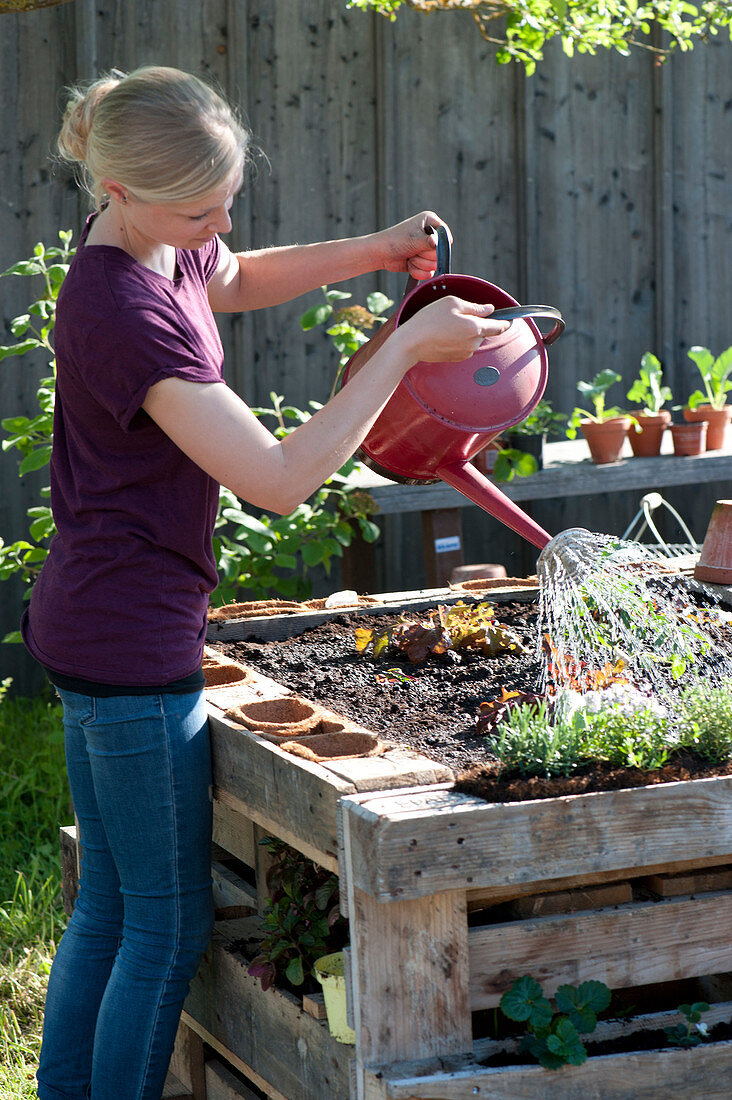 Self-made raised bed from pallets