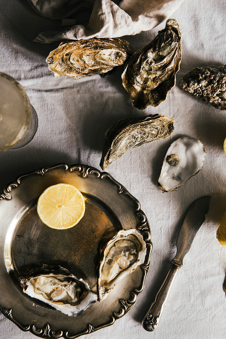 Still Life with Oysters and Lemon