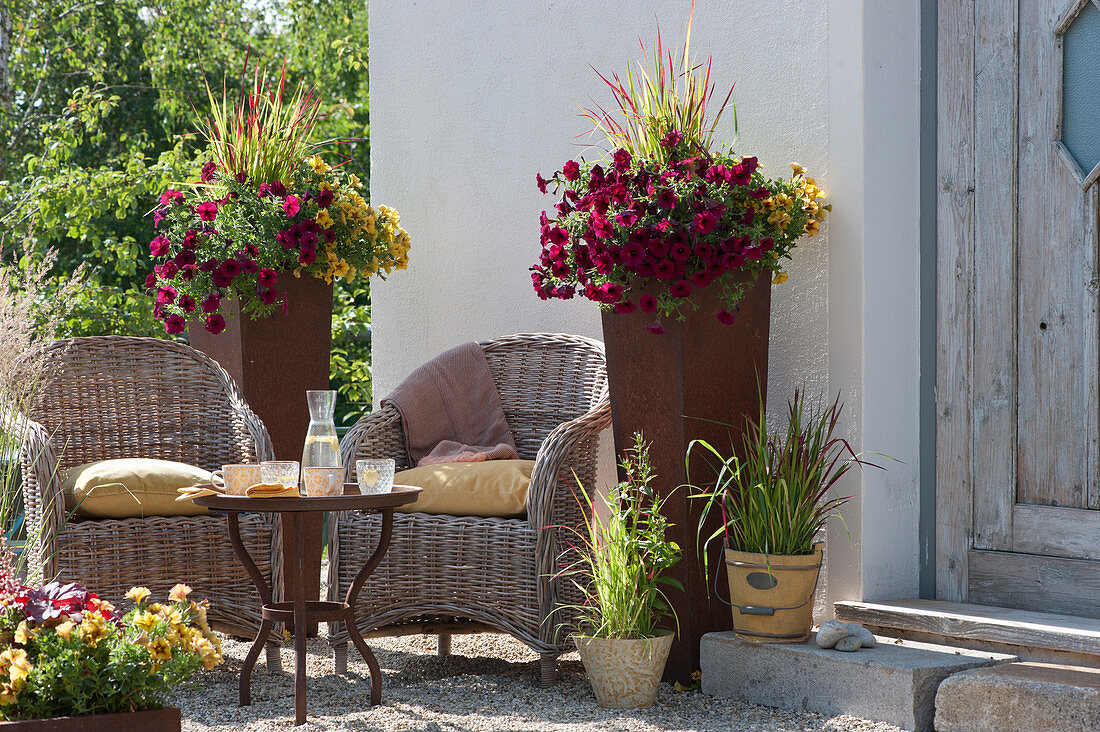 Petunia Beautical 'Bordeaux' 'Caramel' and Japanese red grass 'Red Baron' in rust pots on a gravel terrace, seating area with wicker chairs and a rust table