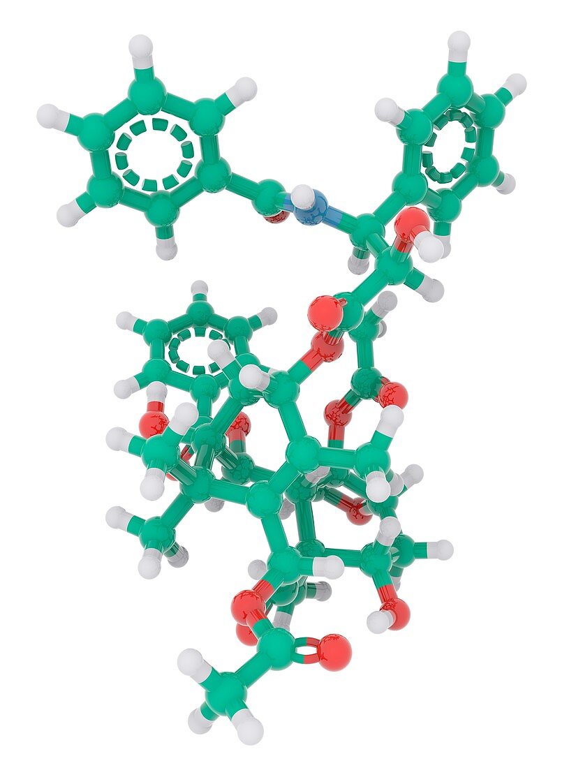 Taxol molecule,illustration