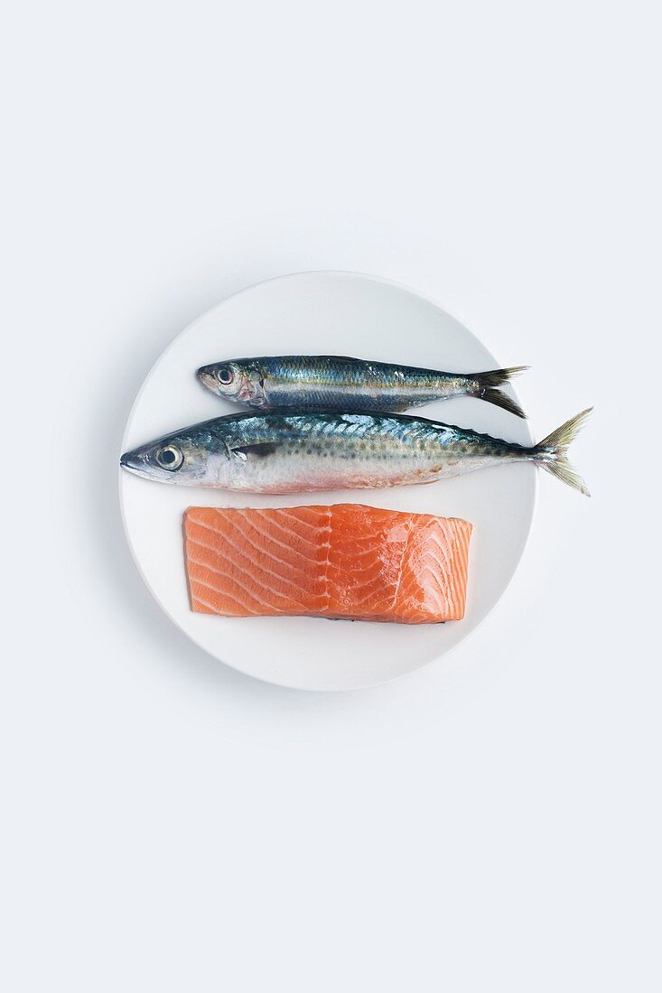 A plate of raw mackerel,sardine and salmon