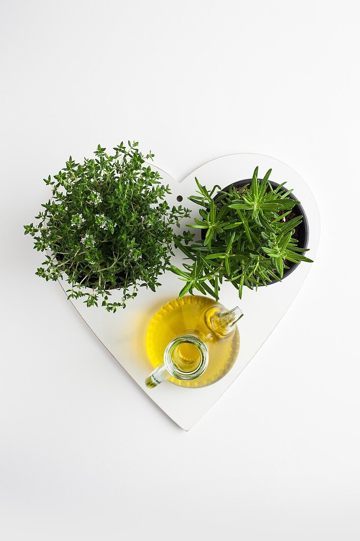 Herbs,garlic and olive oil