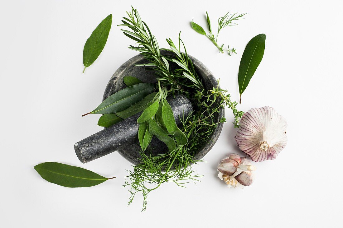 Mortar and pestle with garlic and herbs