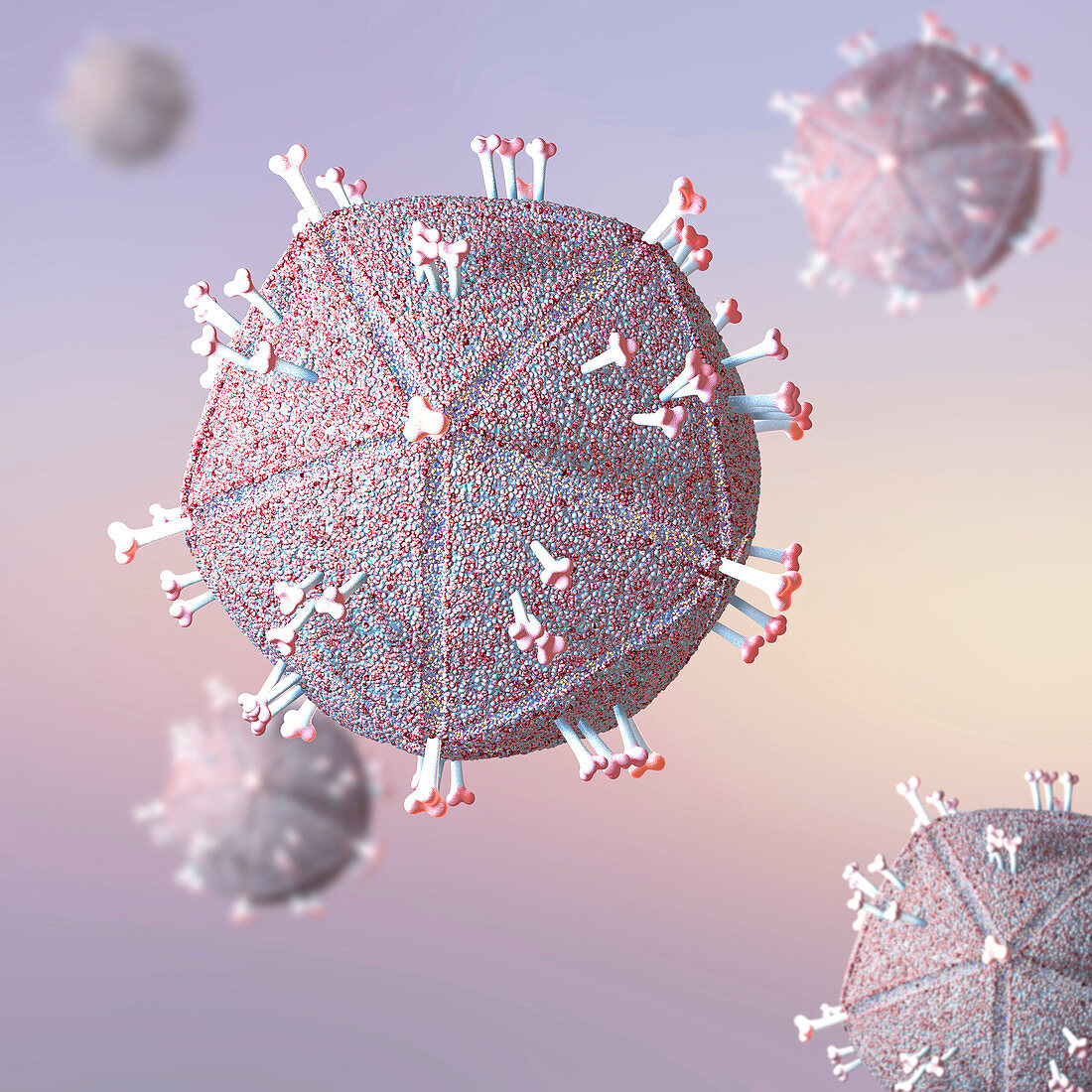Human Immunodeficiency Virus,illustration