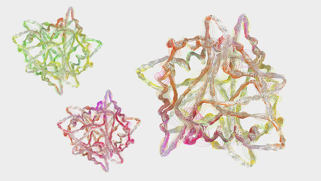 Protein,illustration