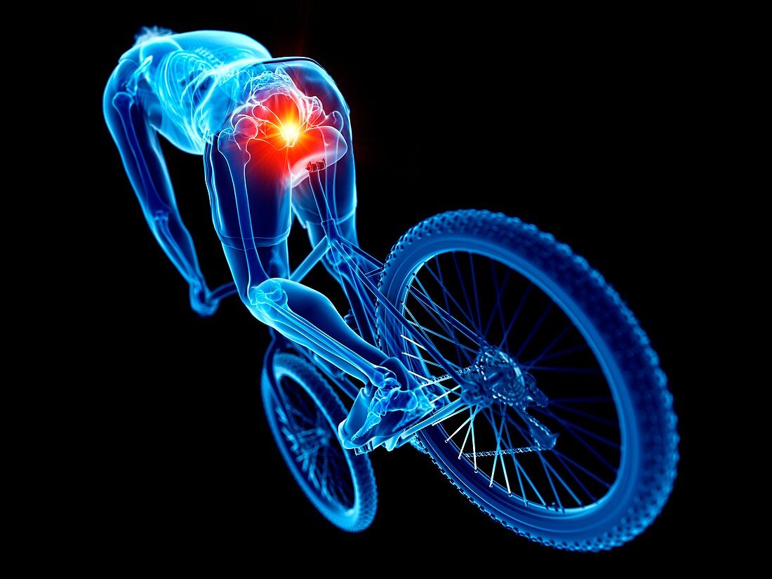 Cyclist's skeleton,illustration