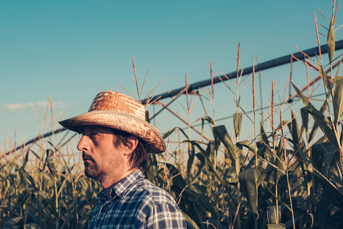 Farmer in corn field