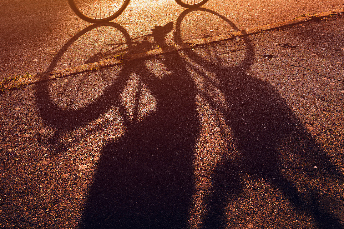 Cyclist's shadow on bicycle lane