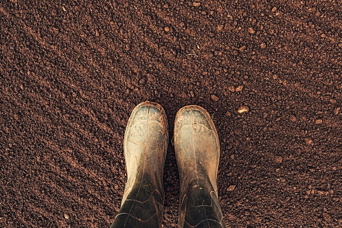 Farmer's rubber boots on ploughed arable land