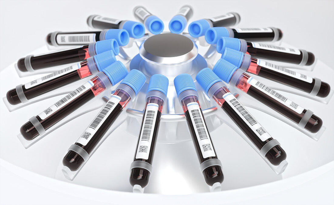 Centrifuging blood samples,illustration