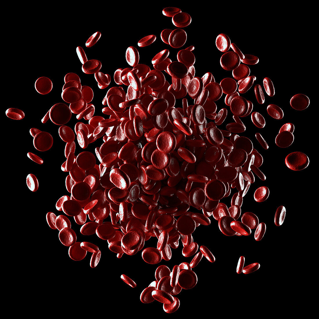 Red blood cells,illustration