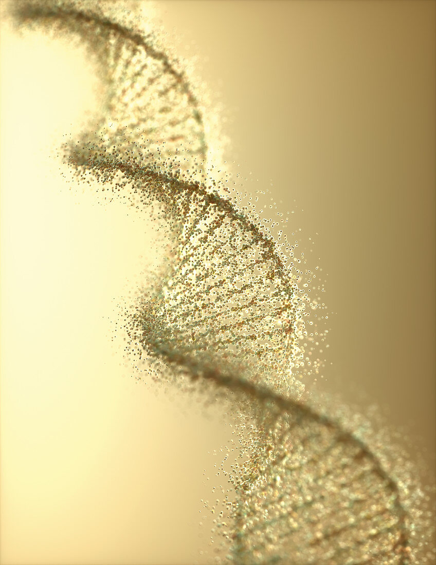 DNA damage,illustration