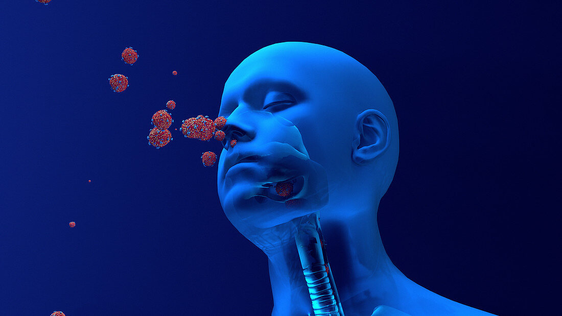 Coronavirus infection,conceptual illustration