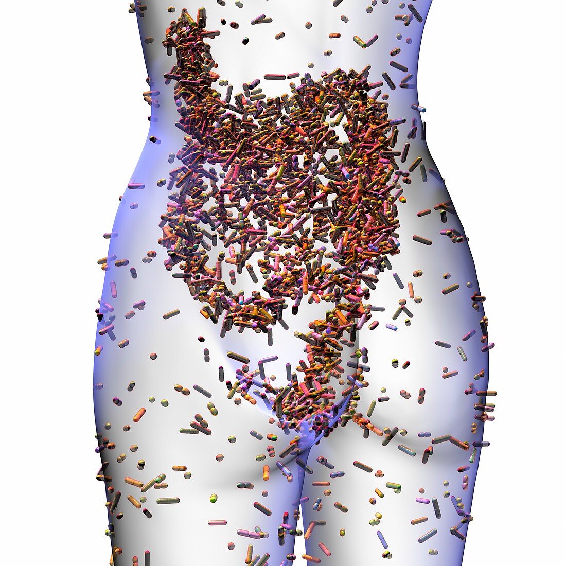 Human microbiome, conceptual image