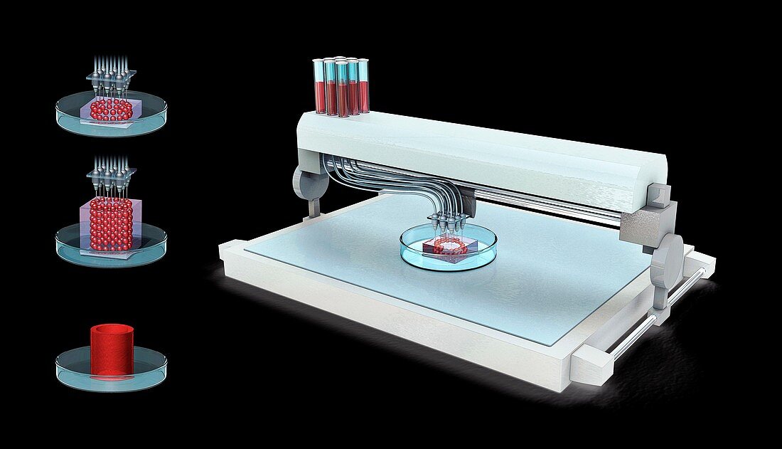 3D-bioprinting, illustration