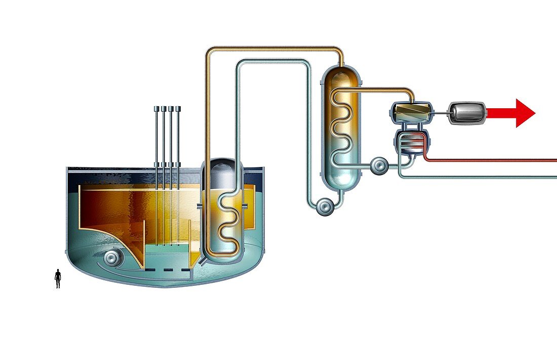 Sodium-cooled fast reactor, diagram
