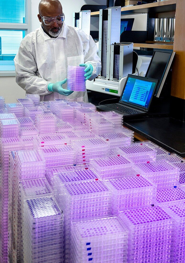 Virology laboratory serum sample testing