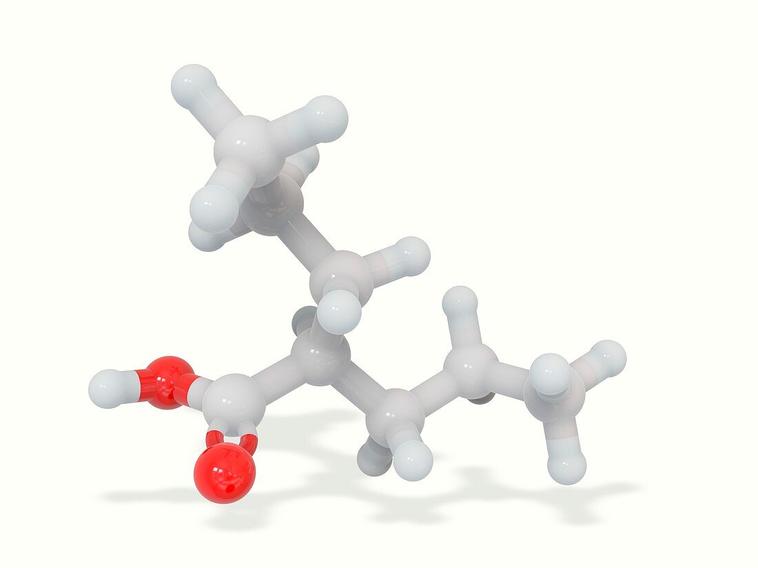 Valproic acid anticonvulsant molecule, illustration