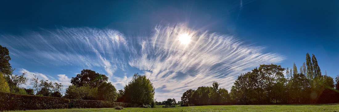 Cirrus fibratus clouds over trees