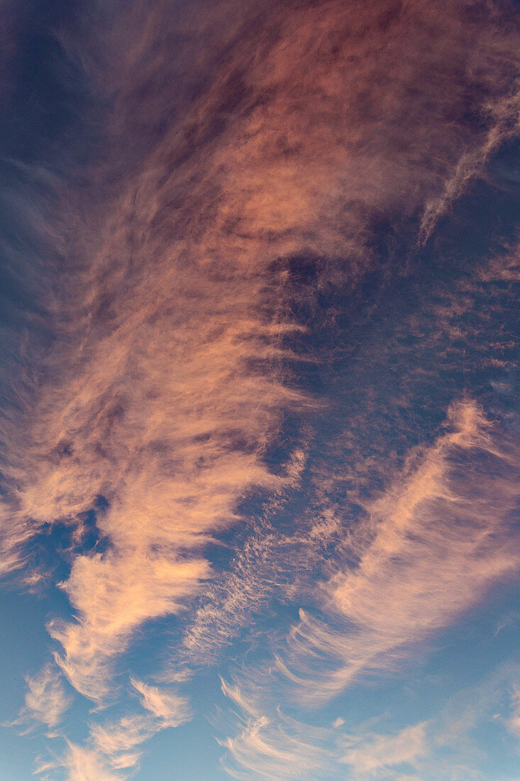 Cirrus and cirrocumulus clouds at sunset