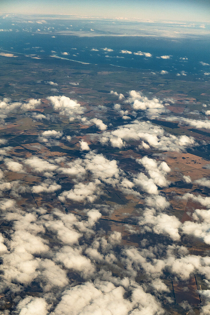 Cumulus humilis clouds from above