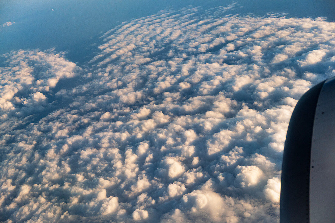 Cumulus mediocris clouds from above