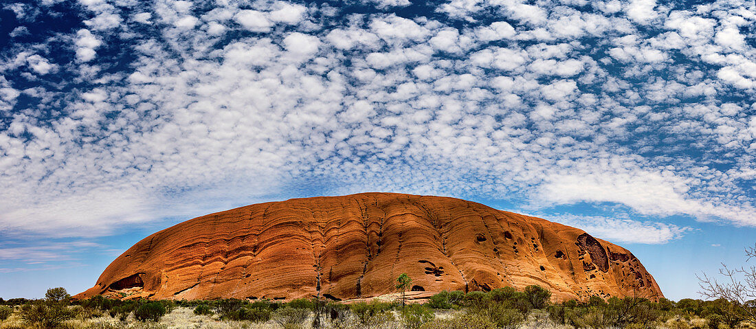 Uluru and altocumulus stratiformis clouds