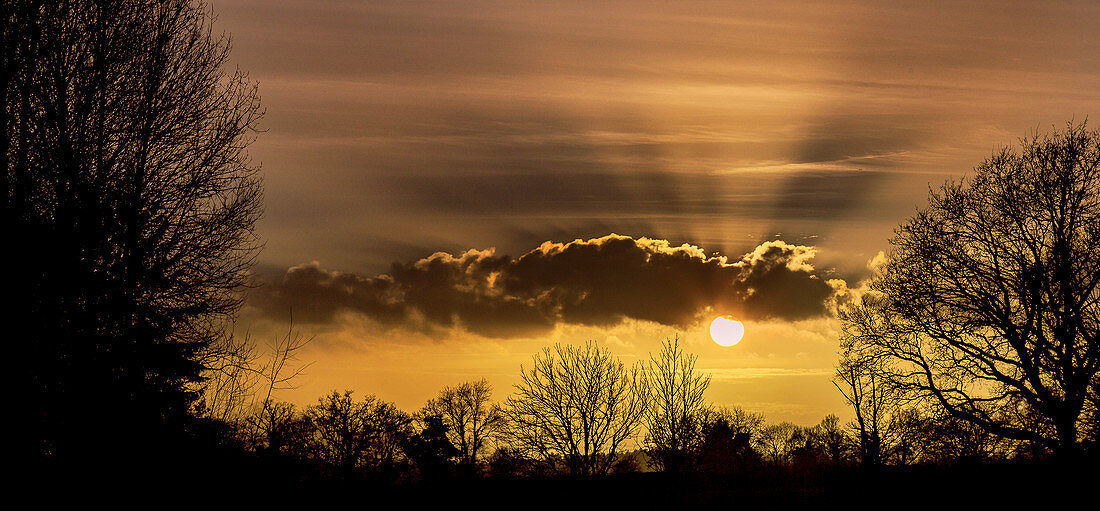 Sun and crepuscular rays shining through clouds