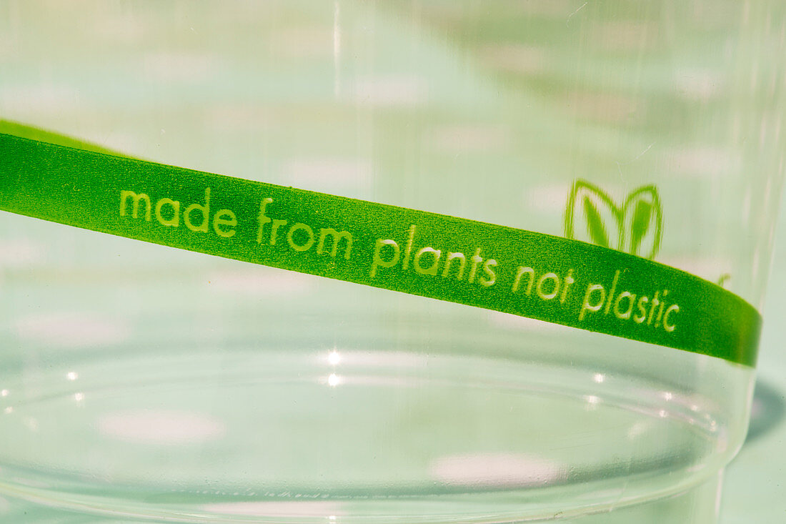 Disposable cup made from plants