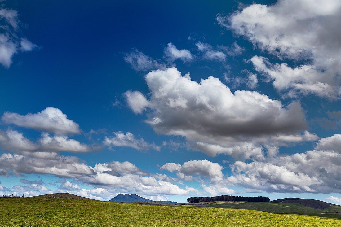 Cumulus and stratocumulus clouds in New Zealand