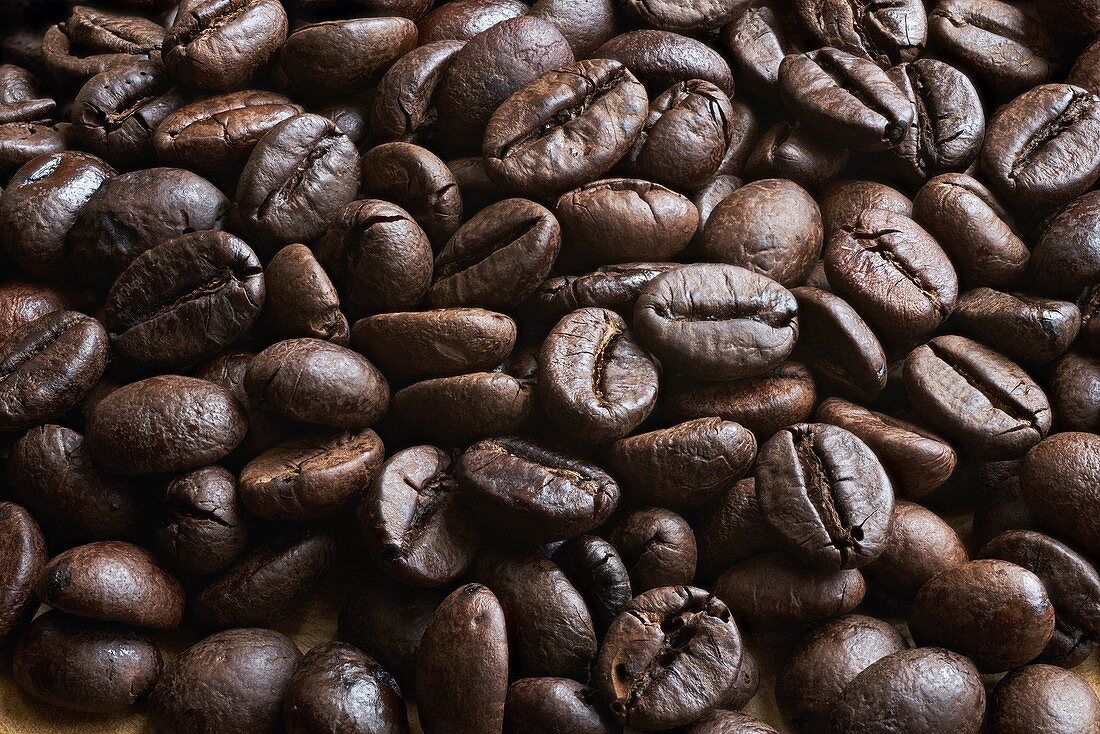 Coffee beans, focus stacked image