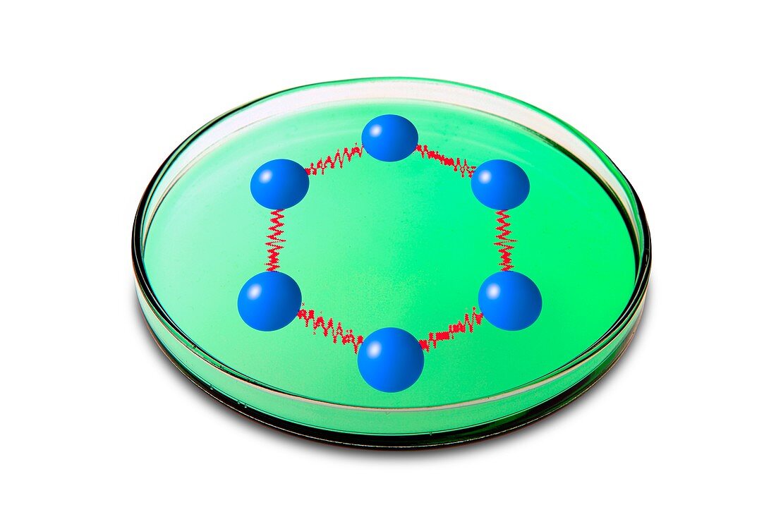 Graphene unit in petri dish, conceptual image