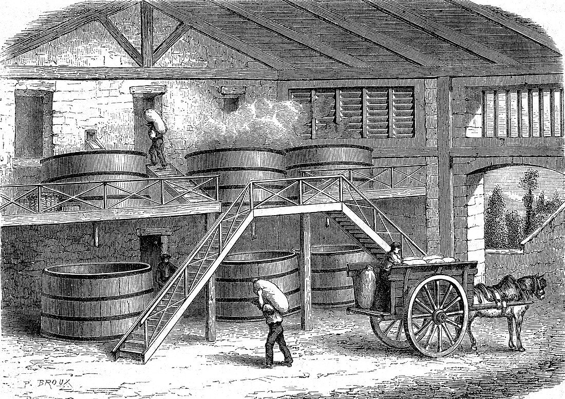 Tallow production, 19th century