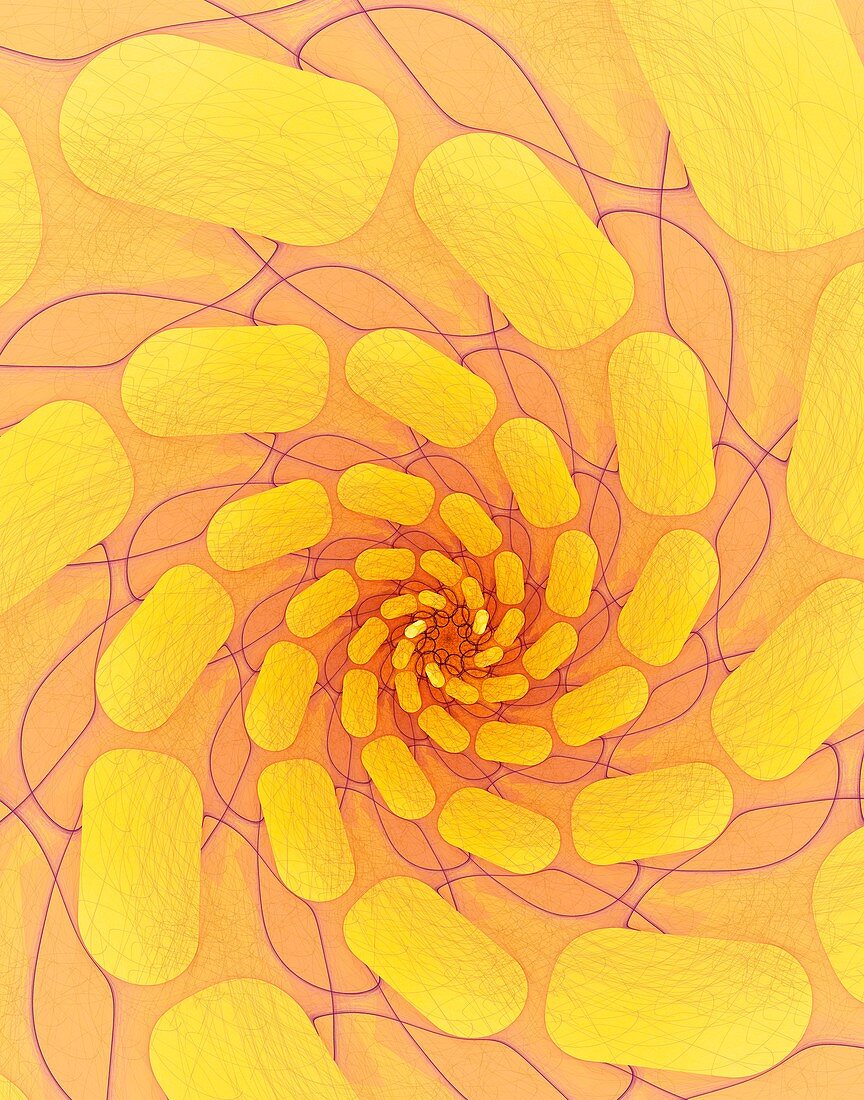 Spiral abstract illustration.