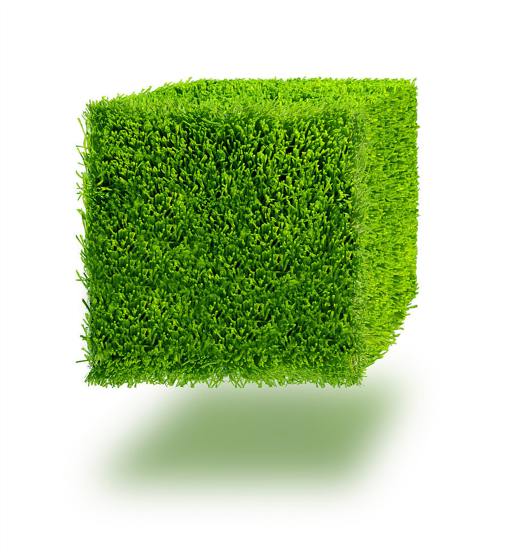 Grass cube, illustration
