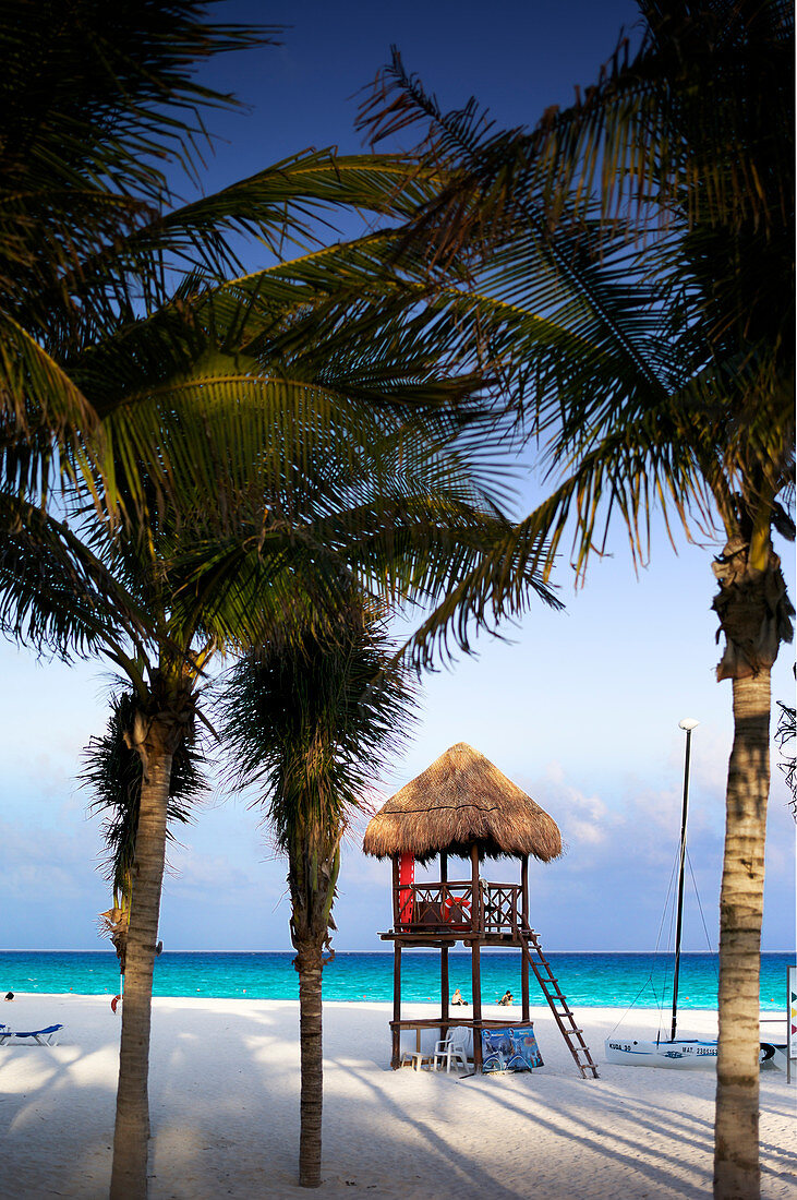 Hut on the beach amongst palm trees