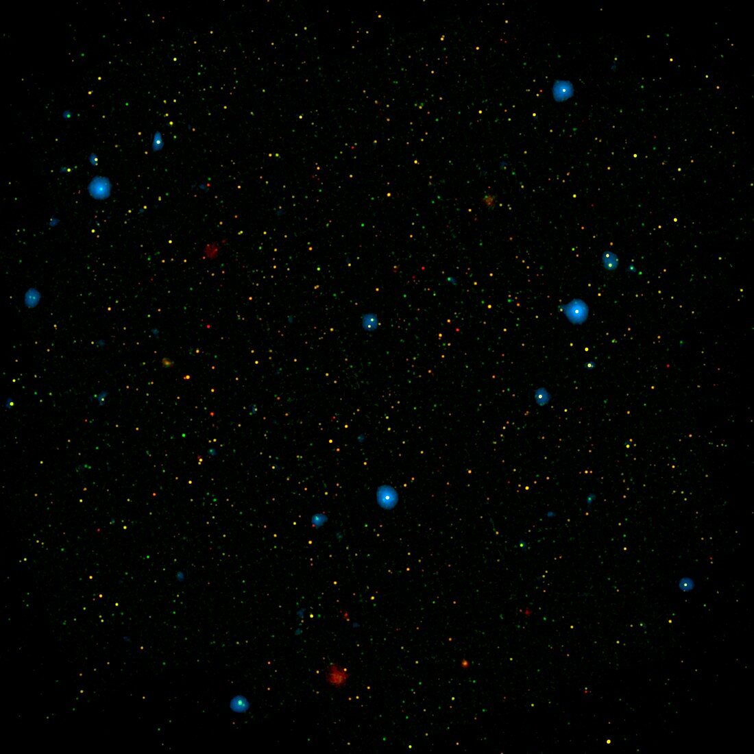 Supermassive black hole galaxies, COSMOS image