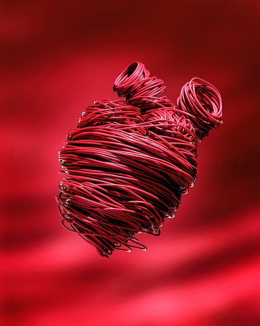 Human heart, conceptual image
