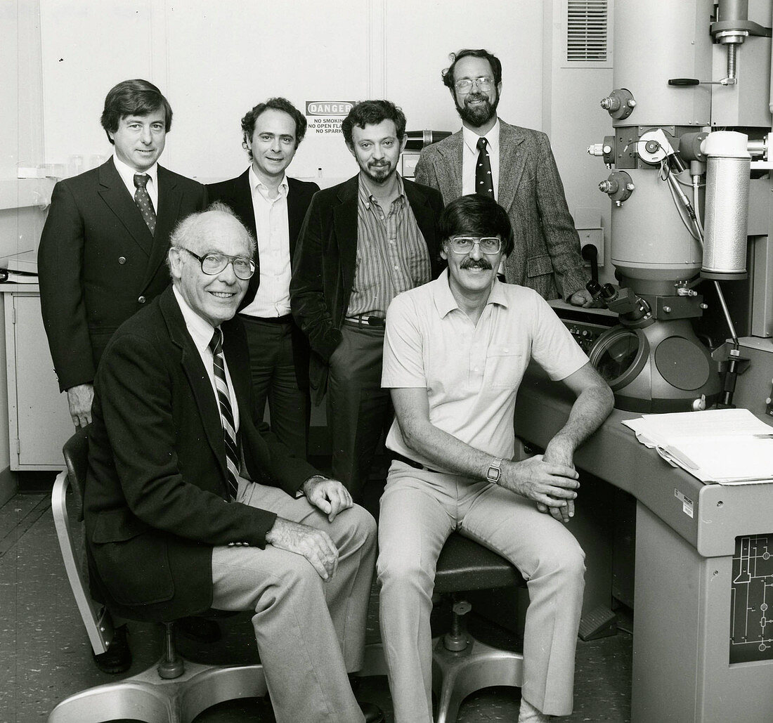 Quasicrystal researchers, 1985
