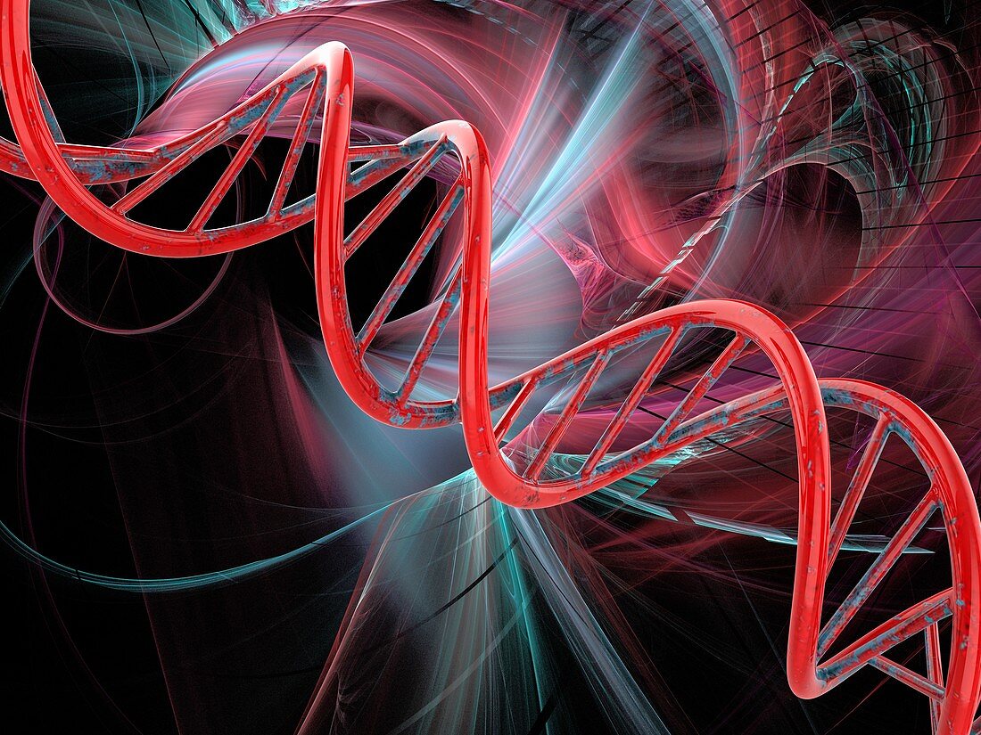 DNA, molecular model