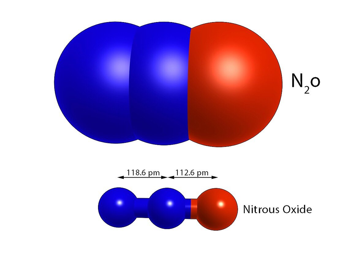 Nitrous oxide, molecular model