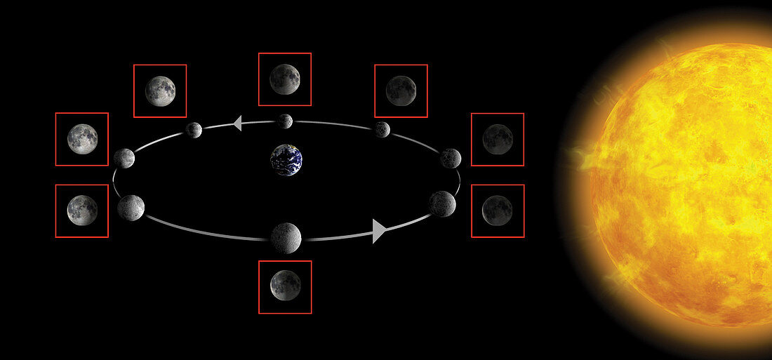 Phases of the Moon as seen from the Earth, illustration