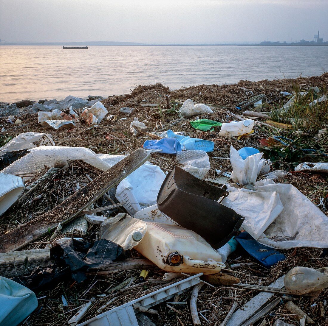 Plastic rubbish on shore
