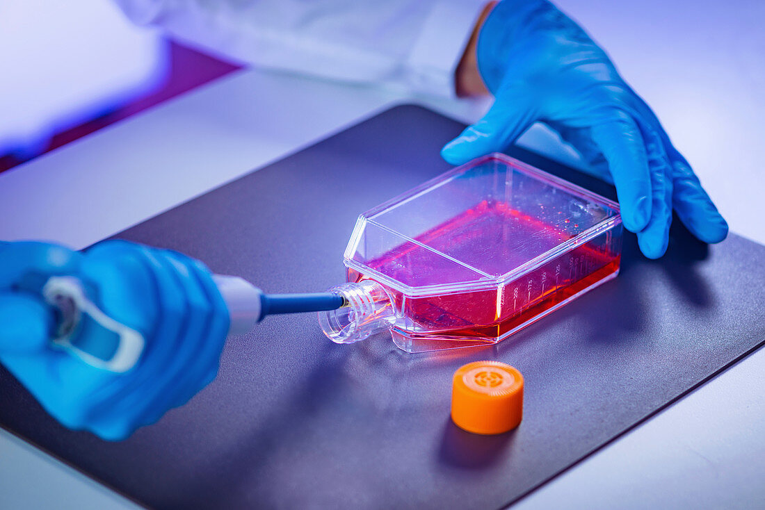 Pipetting sample