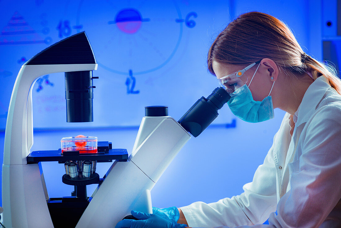 Scientist using microscope