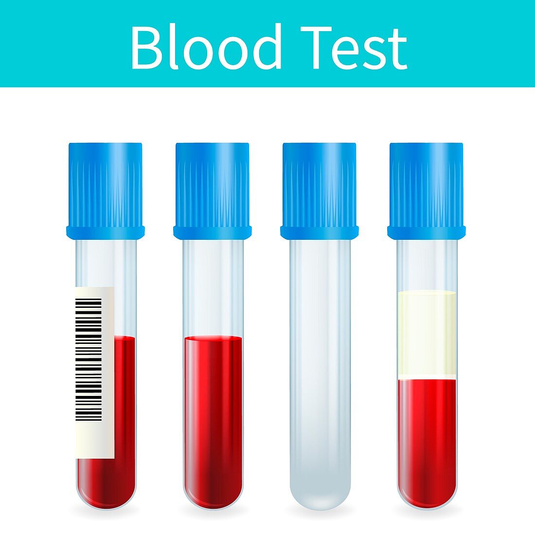 Blood sample tubes, illustration