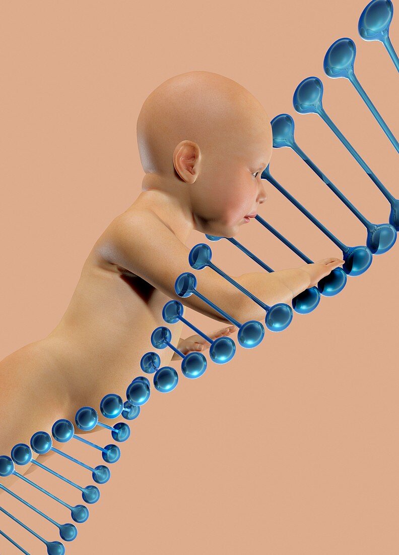 Baby and dna, illustration