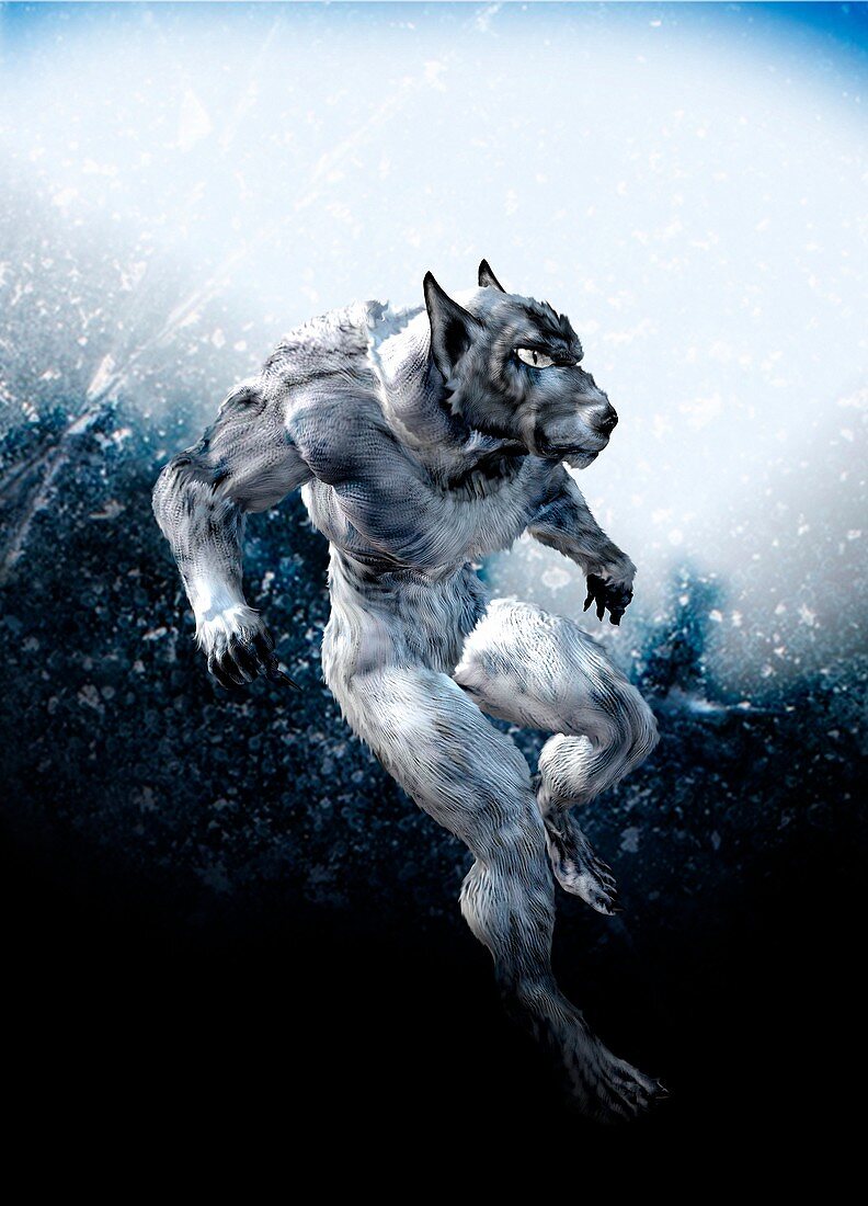 Werewolf, illustration